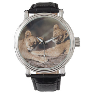 Südafrika, Löwenjunge Armbanduhr