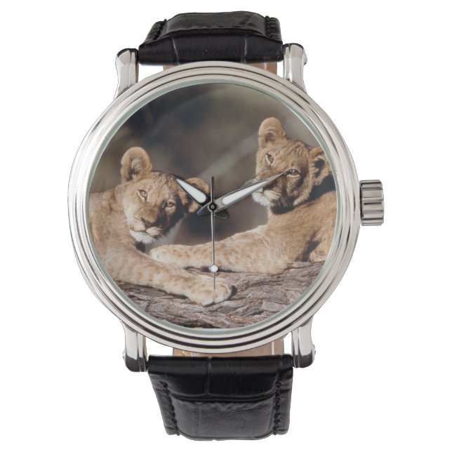 Südafrika, Löwenknochen Armbanduhr (Vorderseite)