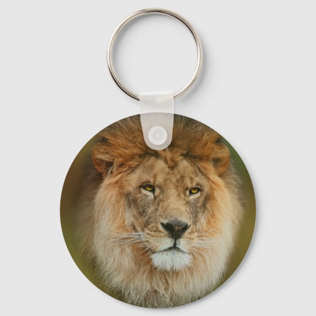 Südafrika Majestic Lion Nah Schlüsselanhänger (Vorderseite)