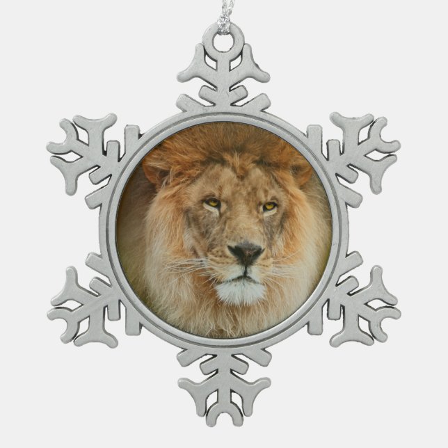 Südafrika Majestic Lion Nah Schneeflocken Zinn-Ornament (Vorderseite)