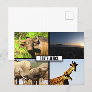 Südafrika NaturfotoCollage Postkarte