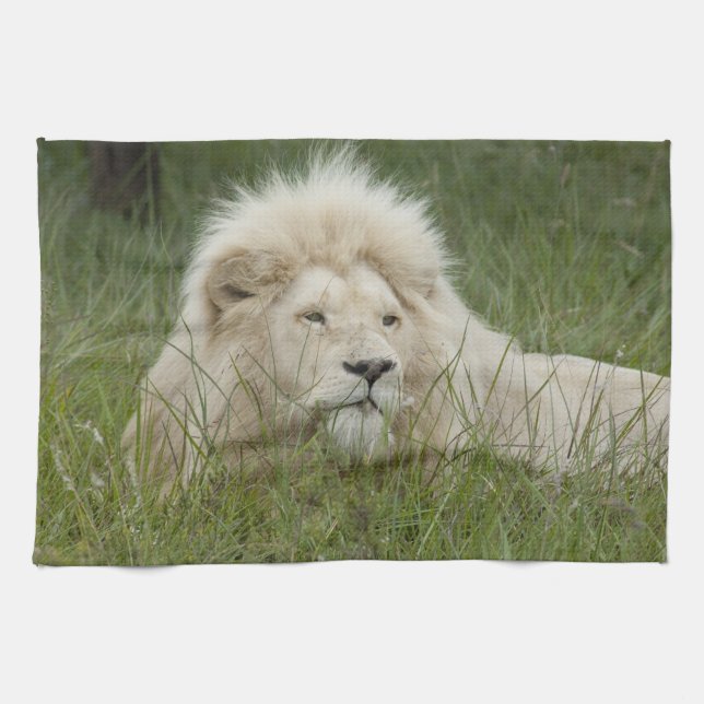 Südafrika, Ost-London, Inkahnwezi Private Küchentuch (Horizontal)