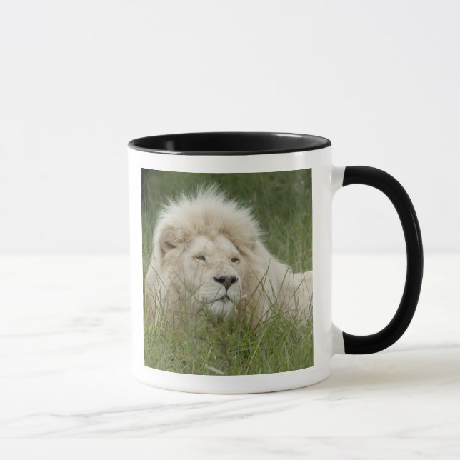Südafrika, Ost-London, Inkahnwezi Private Tasse (Rechts)