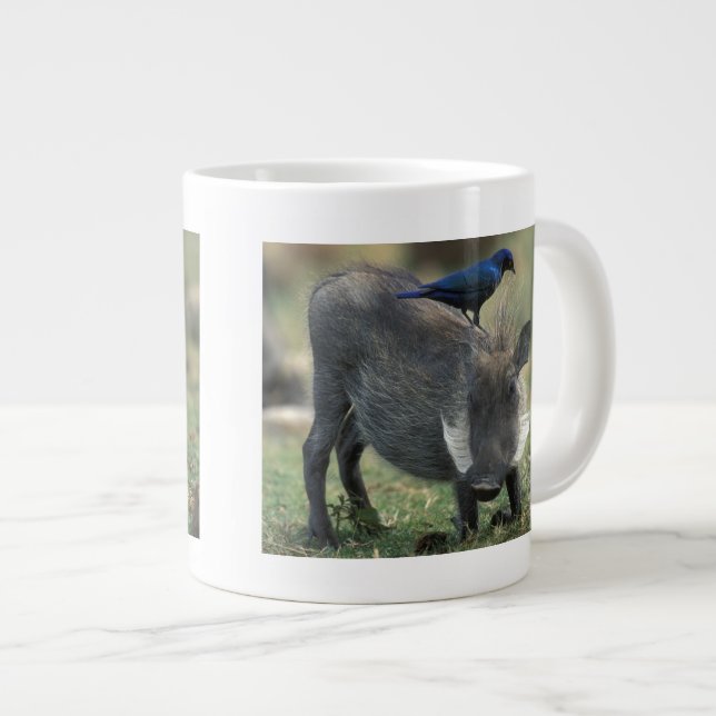 Südafrika, Pilanesburg GR, Warthog Jumbo-Tasse (Vorderseite Rechts)