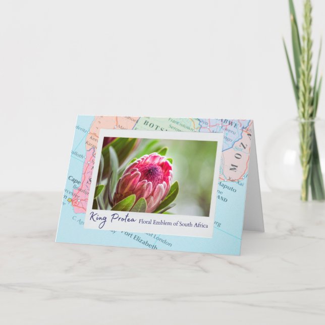 Südafrika Pink King Protea Floral Emblem auf Karte (Vorderseite)