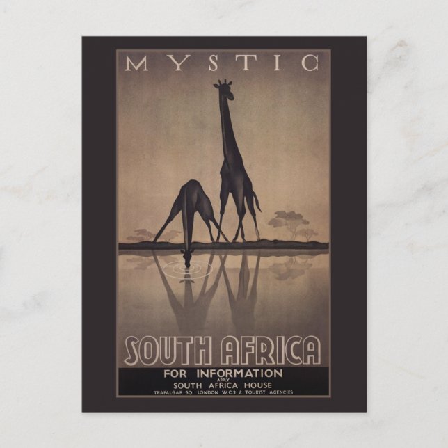 Südafrika Postkarte (Vorderseite)