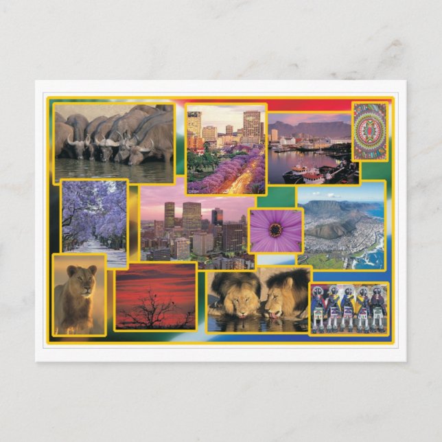 Südafrika Postkarte (Vorderseite)