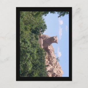 Südafrika Postkarte