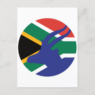 Südafrika Springbok Antelope Südafrika Postkarte
