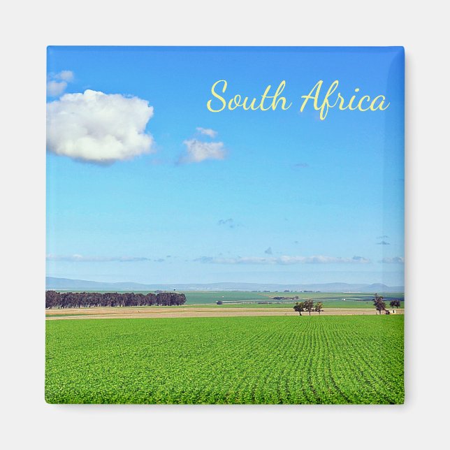 Südafrika Weinberge Landschaftsmagazin Magnet (Vorne)