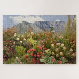 Südafrikanische Blumenausstellung von Wildblumen