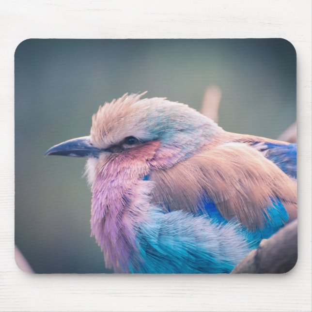 Südafrikanische Flieder-Breasted Rolle Mousepad (Vorne)