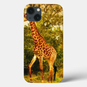 Südafrikanische Giraffen title_seo2