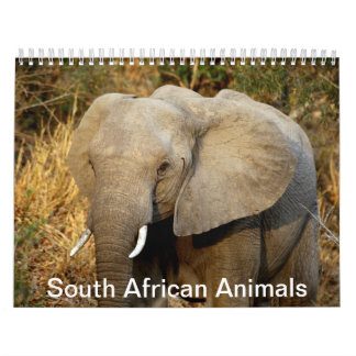 Südafrikanische Tiere Kalender