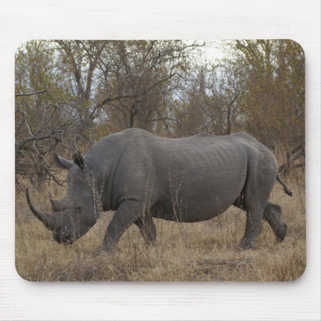 Südafrikanisches Nashorn Mousepad (Vorne)