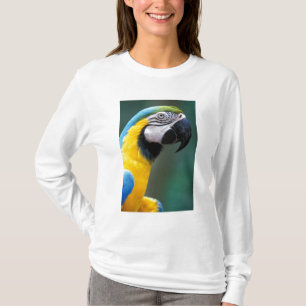 Südamerika, Brasilien, Iguacu Nationalpark, T-Shirt