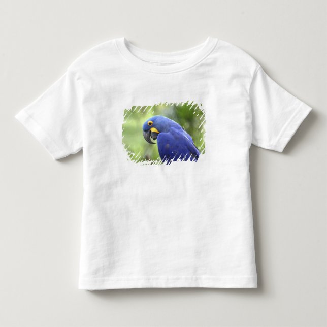 Südamerika, Brasilien, Pantanal Kleinkind T-shirt (Vorderseite)