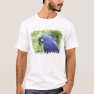 Südamerika, Brasilien, Pantanal T-Shirt