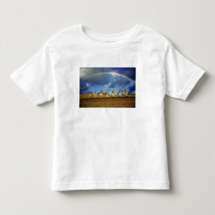 Südamerika, Chile, Osterinsel. Die volle Kleinkind T-shirt
