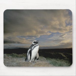 Südamerika, Chile, Patagonia, Magellanes, Mousepad