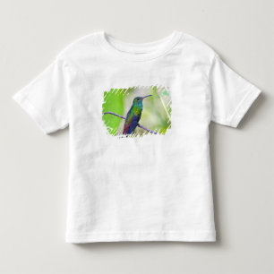 Südamerika, Costa Rica, Sarapiqui, La Selva Kleinkind T-shirt