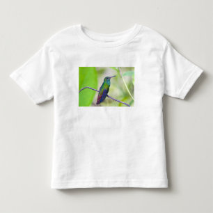 Südamerika, Costa Rica, Sarapiqui, La Selva Kleinkind T-shirt
