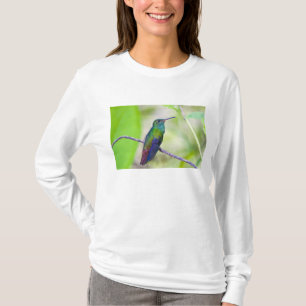 Südamerika, Costa Rica, Sarapiqui, La Selva T-Shirt