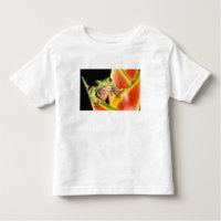 Südamerika, Ecuador, Amazonas. Blattgrün