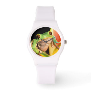 Südamerika, Ecuador, Amazonas. Laubfrosch Armbanduhr