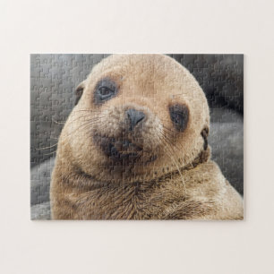 Südamerika, Ecuador, Galapagos-Inseln