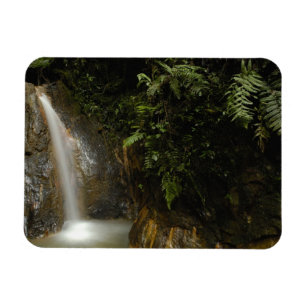 Südamerika, Ecuador, Osthang der Magnet