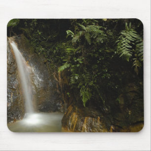 Südamerika, Ecuador, Osthang der Mousepad