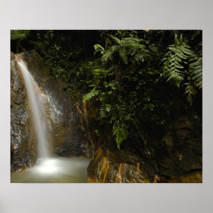 Südamerika, Ecuador, Osthang der Poster