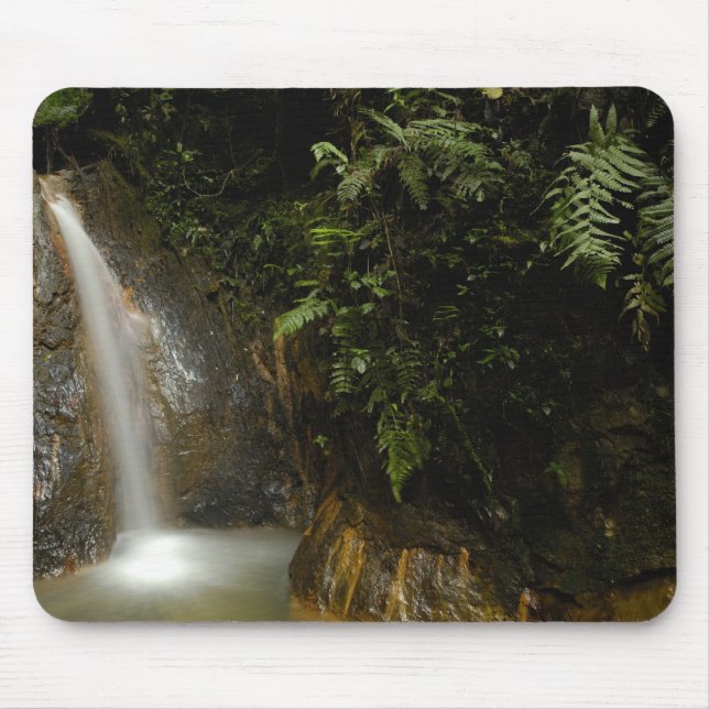 Südamerika, Ecuador, östlicher Abhang des Mousepad (Vorne)