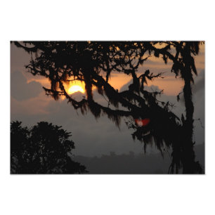 Südamerika, Ecuador, Wolkenwaldszene in Fotodruck