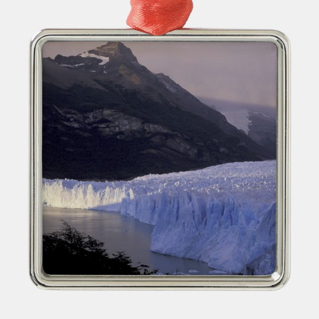 Südamerika, Patagonien, Argentinien, Parque Silbernes Ornament (Vorne)