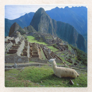 Südamerika, Peru. Ein Lama ruht auf einem Hügel Glasuntersetzer