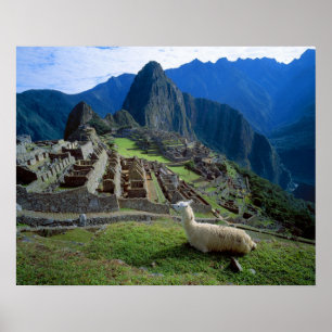 Südamerika, Peru. Ein Lama ruht auf einem Hügel Poster