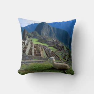 Südamerika, Peru. Eine Lama-Erholung auf einem Hüg Kissen