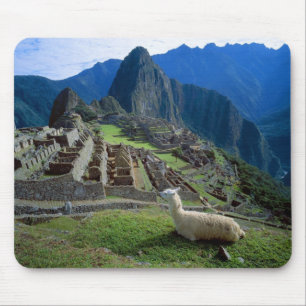 Südamerika, Peru. Eine Lama-Erholung auf einem Hüg Mousepad