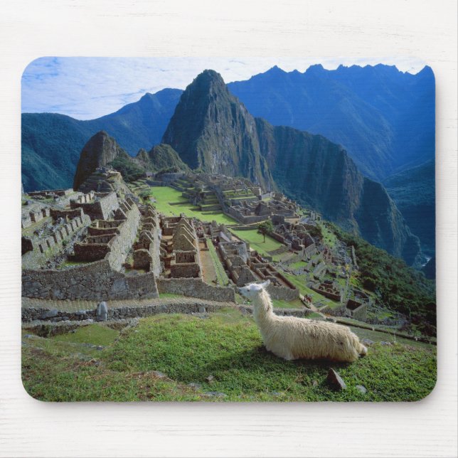 Südamerika, Peru. Eine Lama-Erholung auf einem Hüg Mousepad (Vorne)