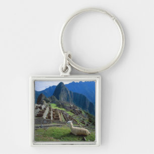 Südamerika, Peru. Eine Lama-Erholung auf einem Hüg Schlüsselanhänger