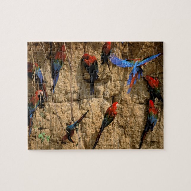 Südamerika, Peru, Manu-Nationalpark, (Horizontal)