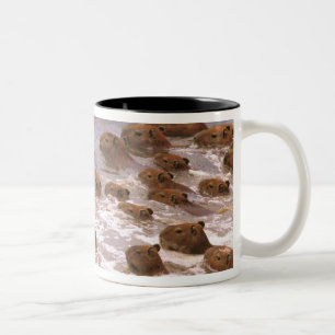 Südamerika, Venezuela, Llano-Region. Zweifarbige Tasse