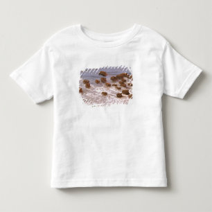 Südamerika, Venezuela, Region Llano. Kleinkind T-shirt
