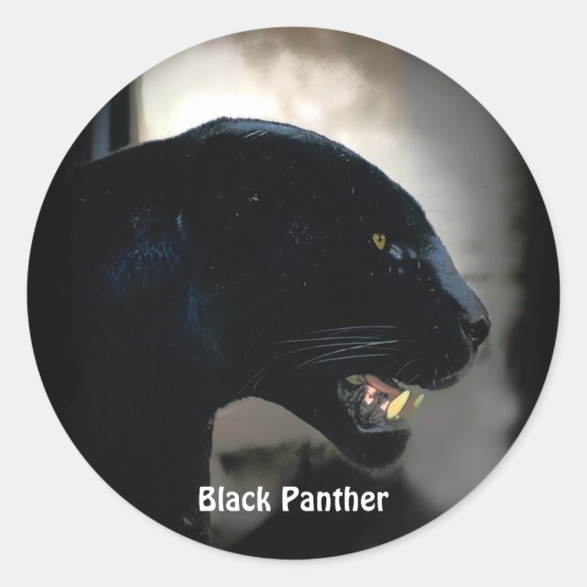 Südamerikanische Schwarze Panther Wildlife Sticker (Vorderseite)