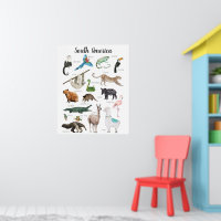 Südamerikanische Tiere | Bildung Klassenzimmer