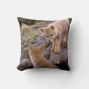 Südamerikanischer Graufuchs (Lycalopex griseus) Pa Kissen