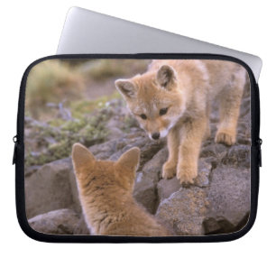 Südamerikanischer Graufuchs (Lycalopex griseus) Pa Laptopschutzhülle