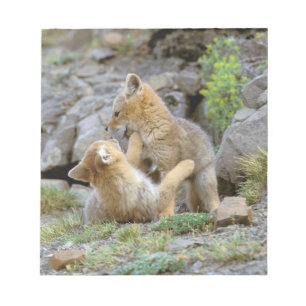 Südamerikanischer Graufuchs (Lycalopex griseus) Pa Notizblock